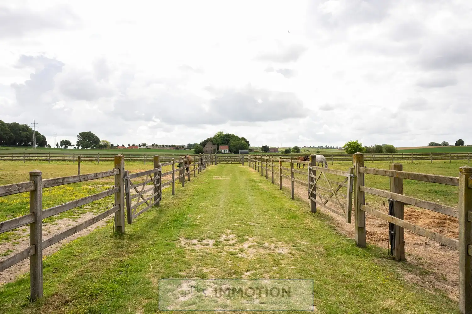 Niké's Hof - Paardenstoeterij met landelijke villa op 3,4 ha foto 30