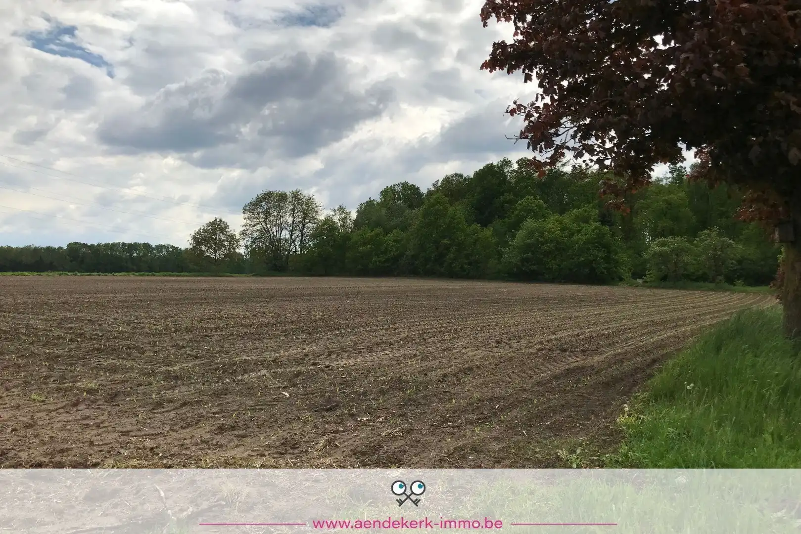 Uniek recreatieperceel in Dilsen-Stokkem – Kansen voor investeerders foto 10