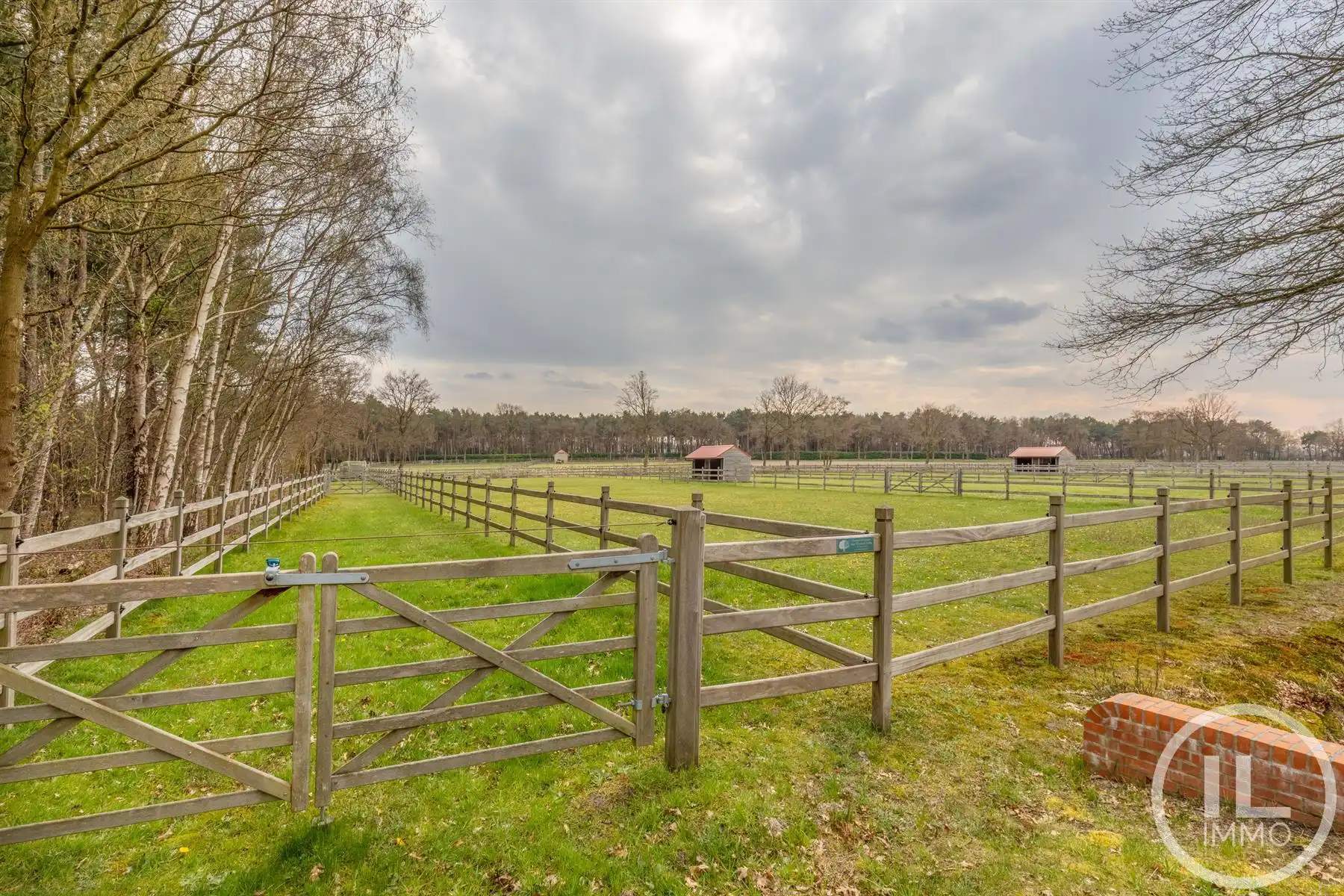 Schitterend domein van 7,7 ha met prachtige villa, zwembad, guesthouse, ruime schuur en uitgebreide paardenfaciliteiten. foto 47
