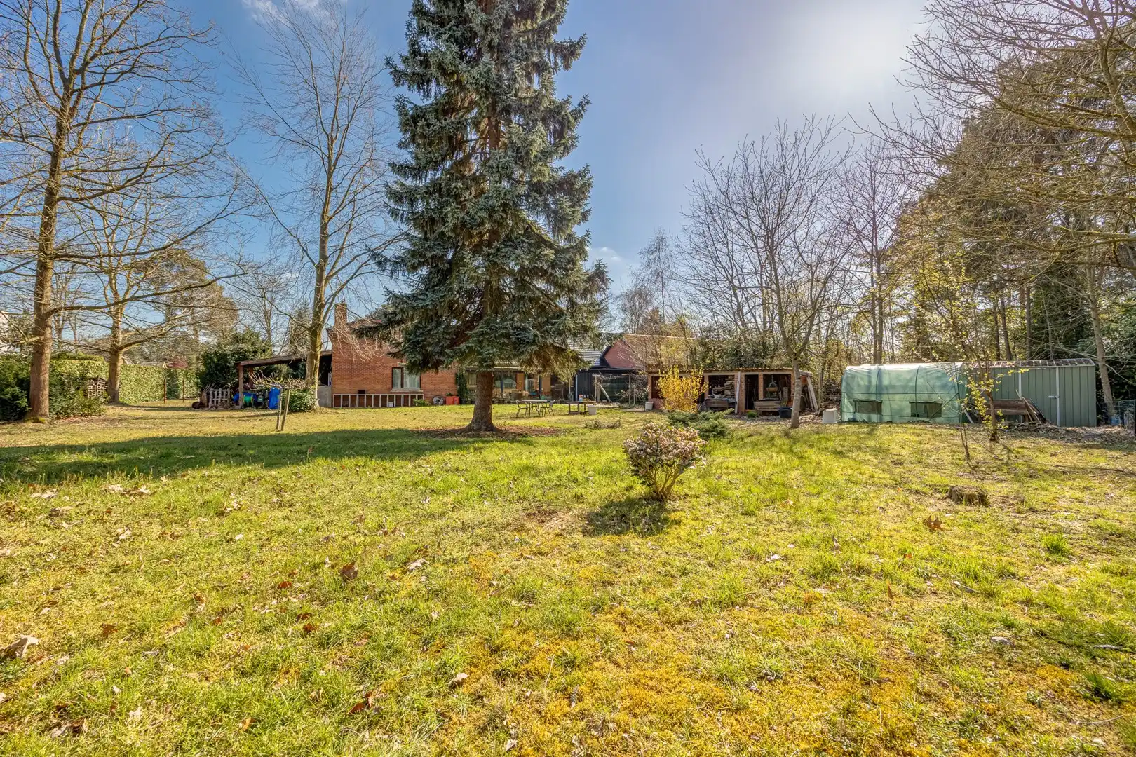 Vrijstaande woning met veel ruimte, omgeven door groen. foto 6
