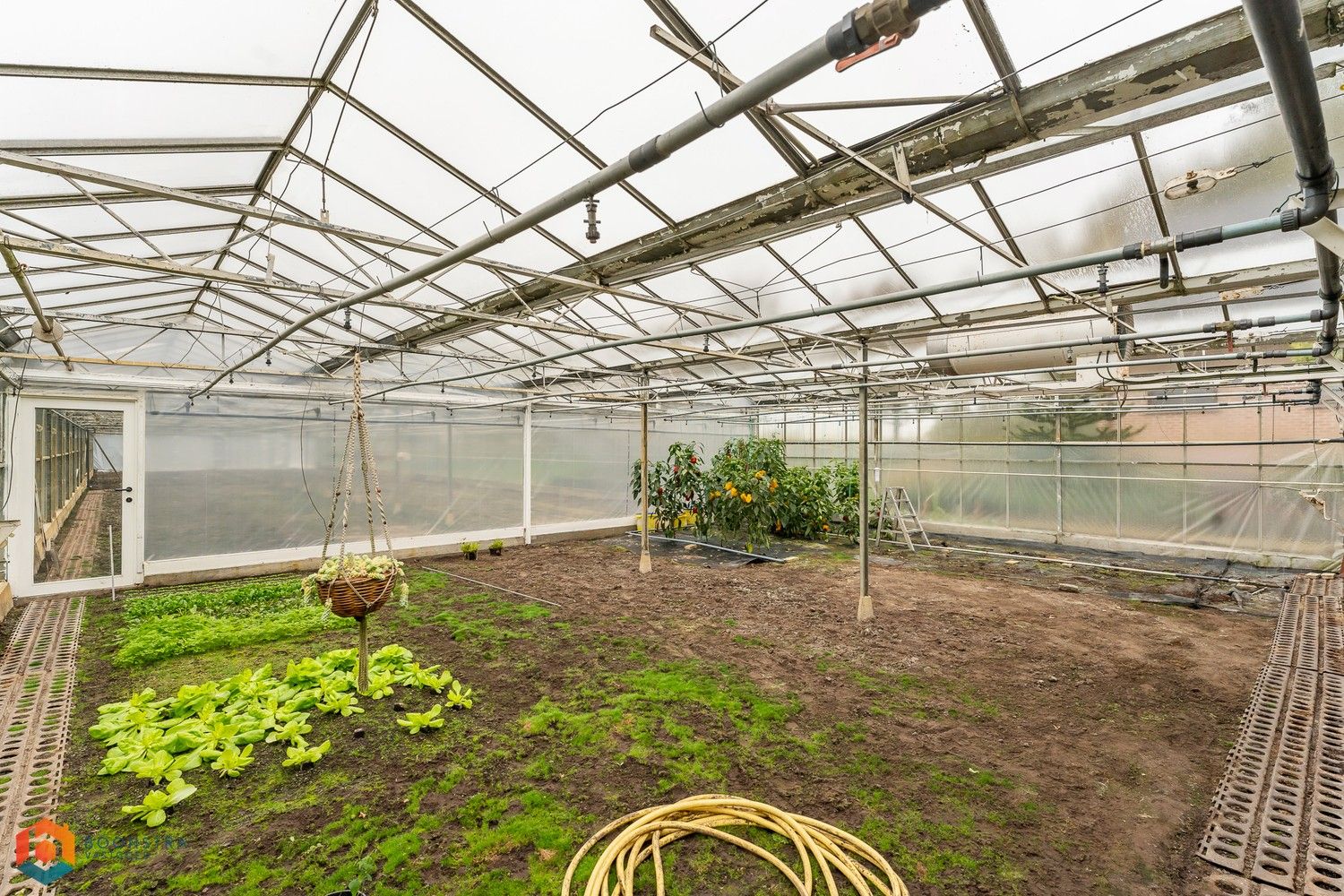 Landbouwwoning met 4 slpkrs en serre op een perceel van 13.598 m² te Sint-Katelijne-Waver foto 13