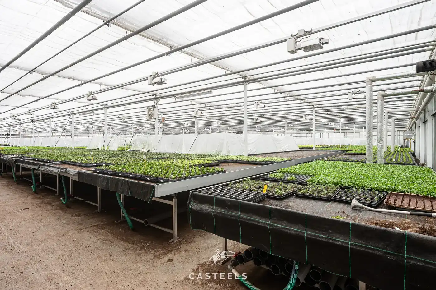 Sierteeltbedrijf 1,58 ha te koop op een toplocatie foto 5