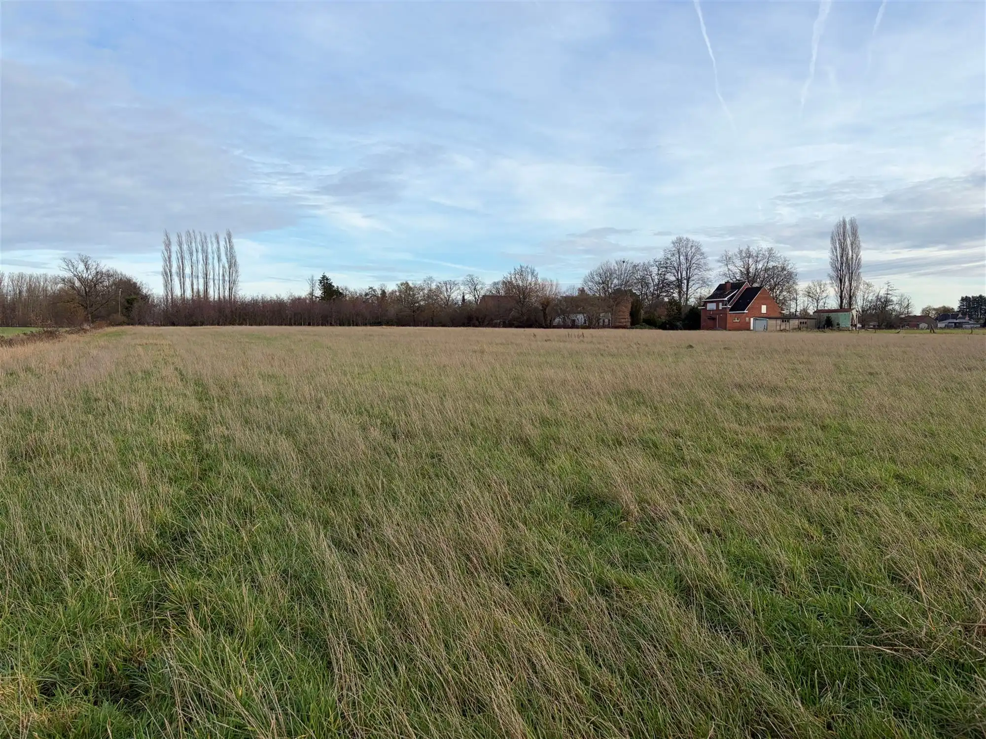 Landbouwgrond foto {{pictureIndex}}