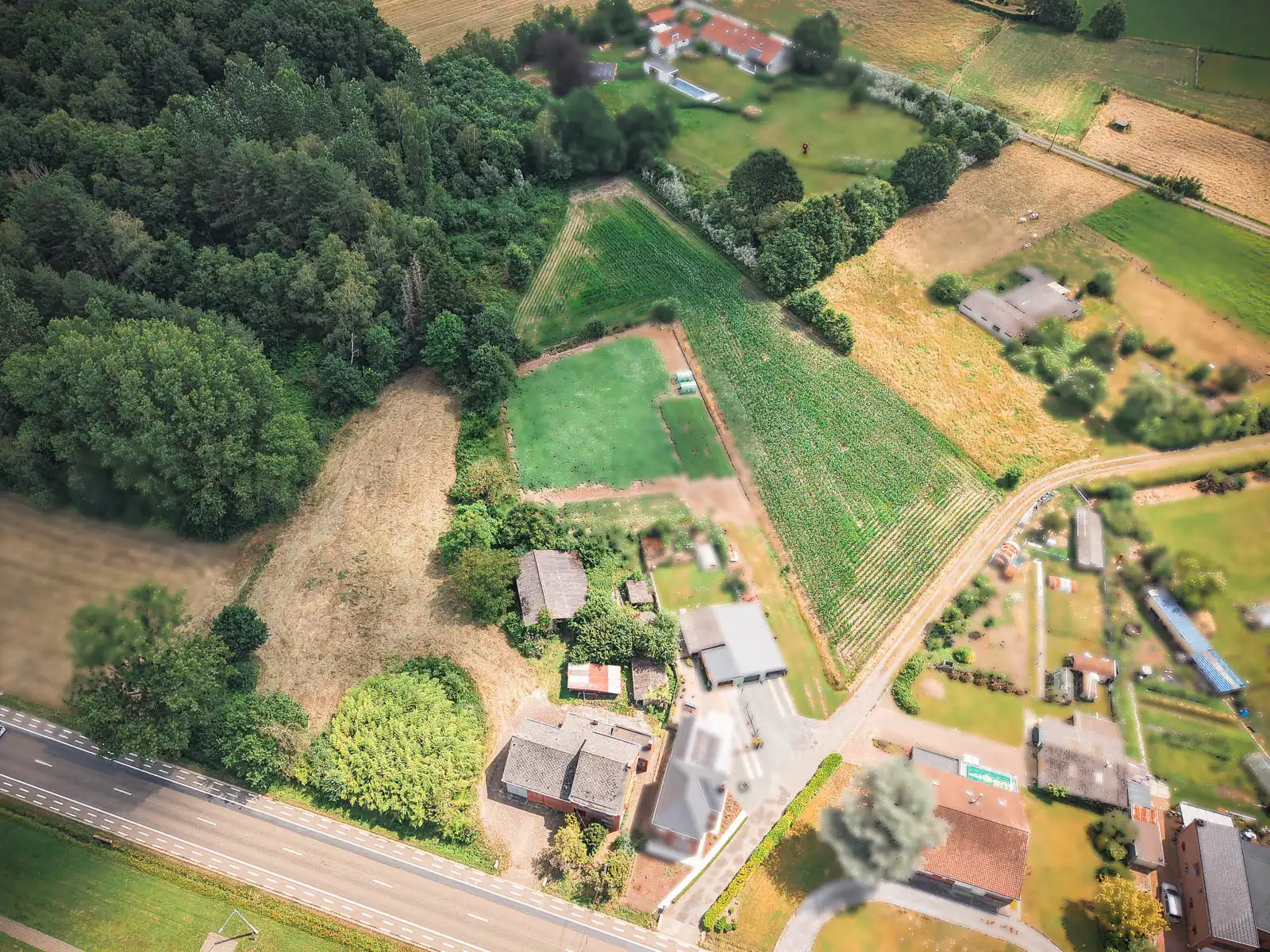 Karaktervolle woning op prachtig perceel van ruim 11501 m² foto 2