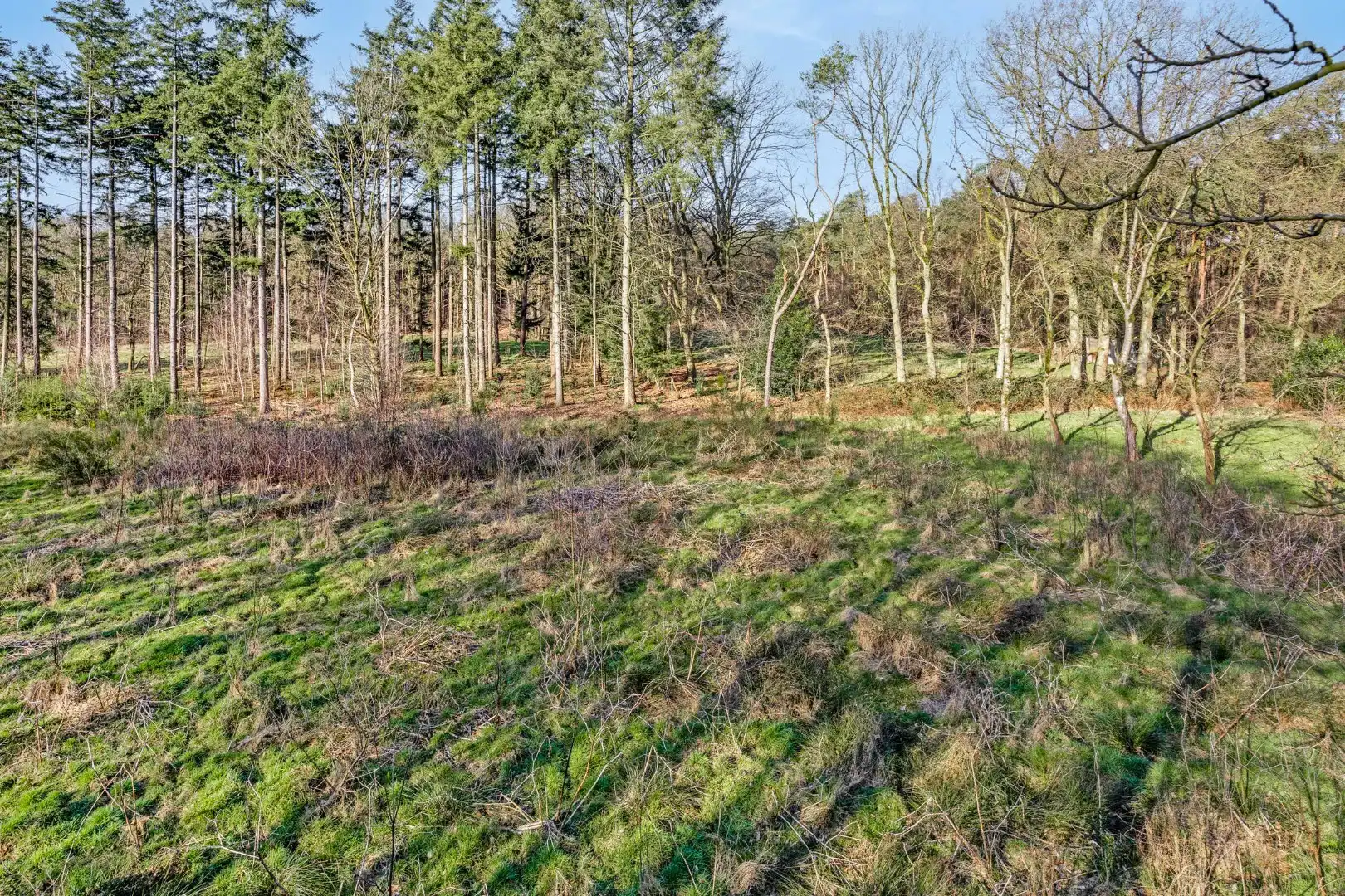 Unieke woonst op 13 hectare: rust, natuur en eindeloze mogelijkheden! foto 39
