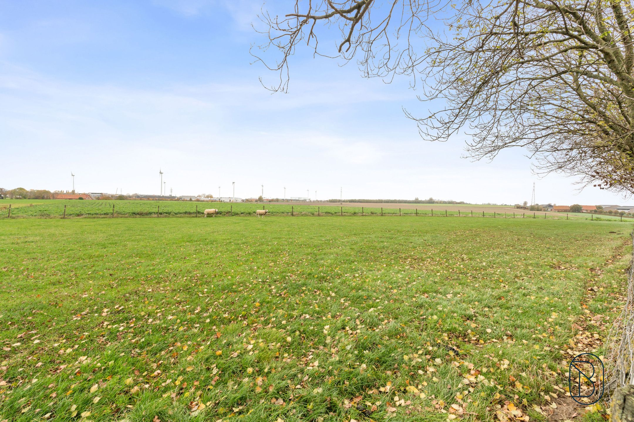 Unieke charmante vierkantshoeve op 1 hectare grond te Ieper foto 24