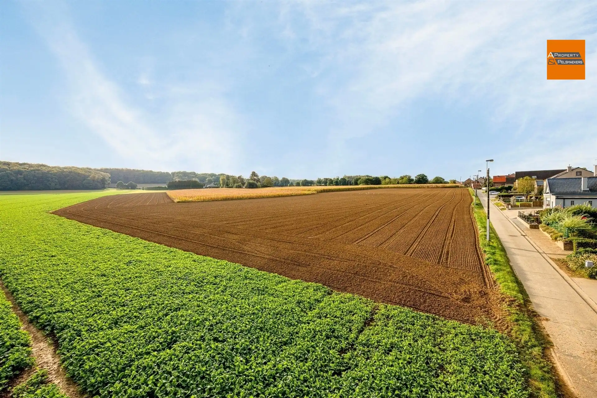 Nieuwbouwwoning met 4 slaapkamers foto 7
