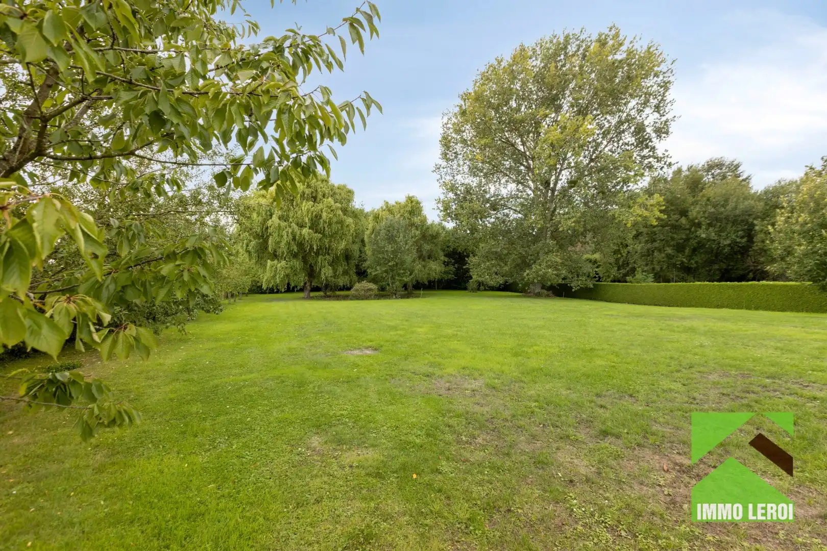Karaktervolle villa op ruim perceel met prachtige tuin in Tongeren-Mal foto 5