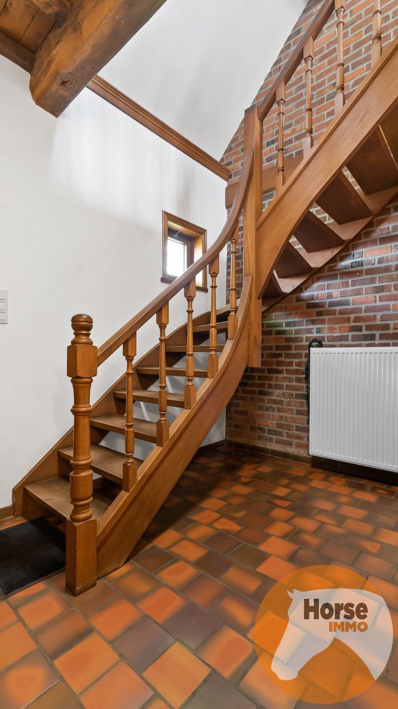 ZOTTEGEM - Hoeve met B&B en stallen op +/- 2,8HA foto 16