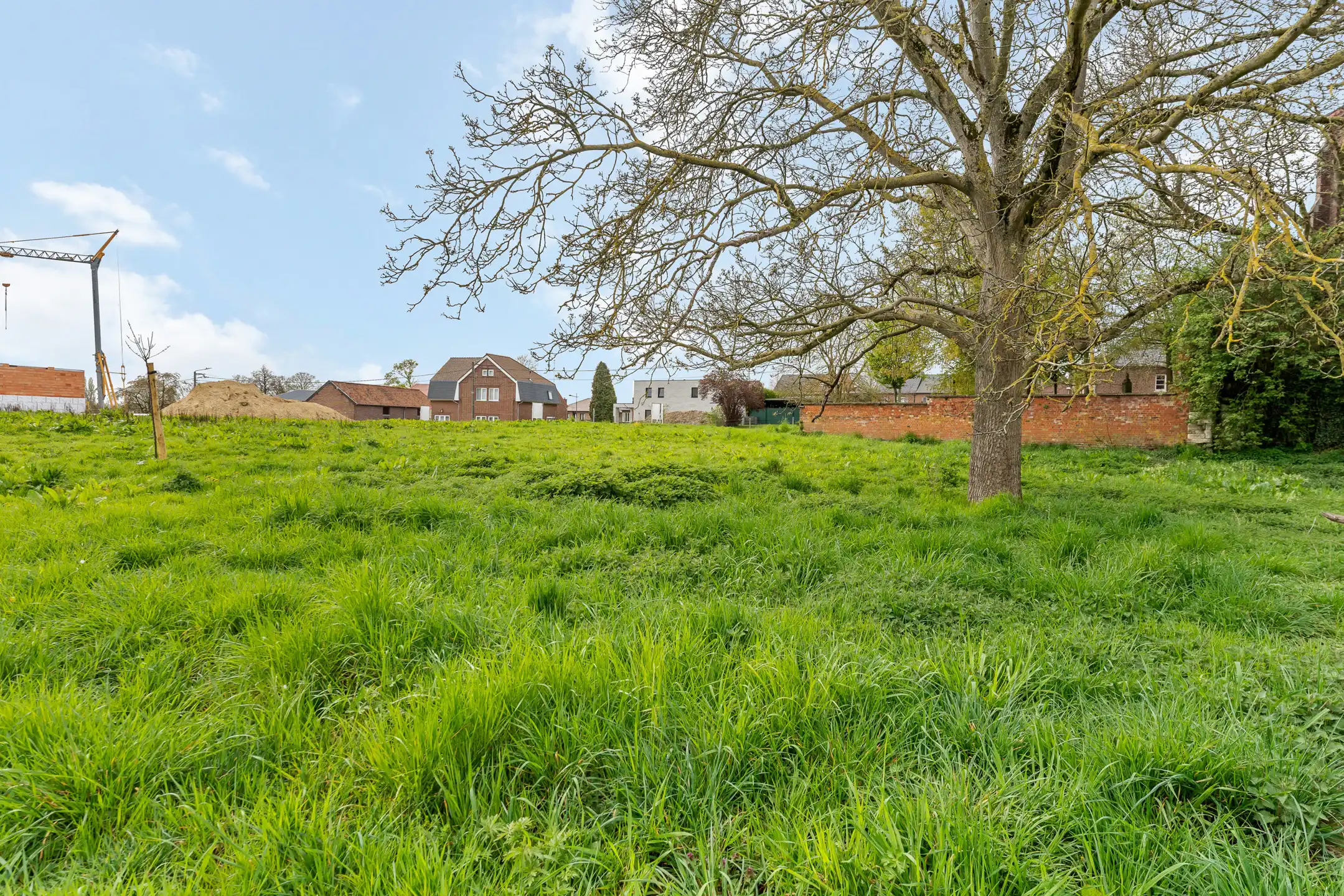 Riante HOB bouwgrond op 11a21ca te Riemst foto 9