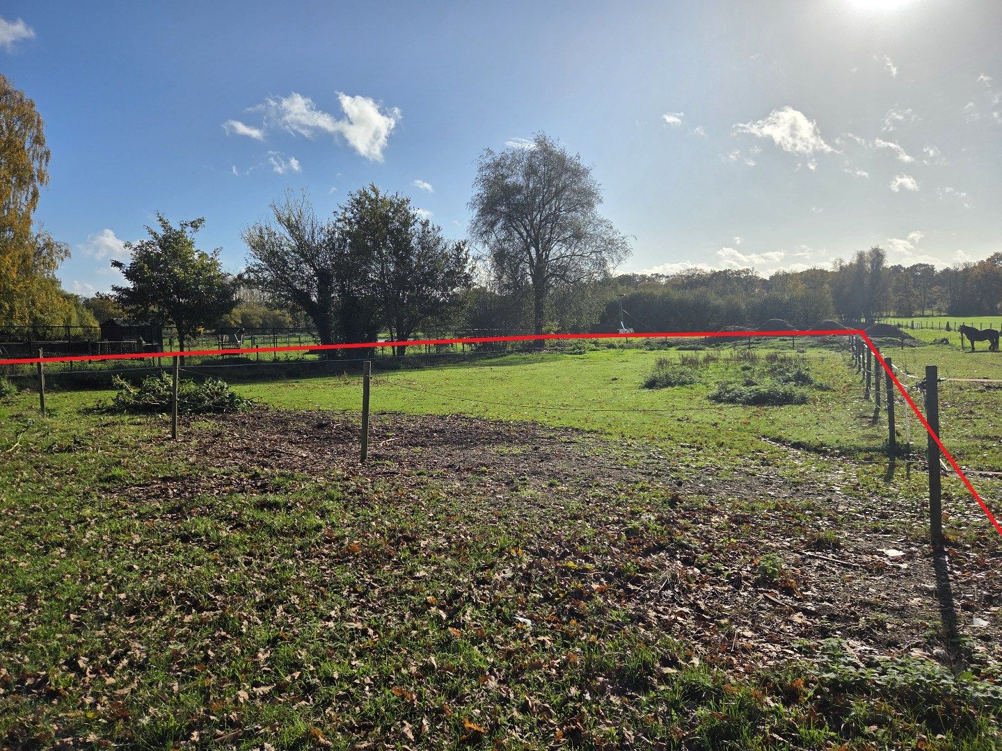 Woning met 3 slpks, schuur met 3 stallen en weiland op 2.288 m² nabij Geel-centrum ! foto 6