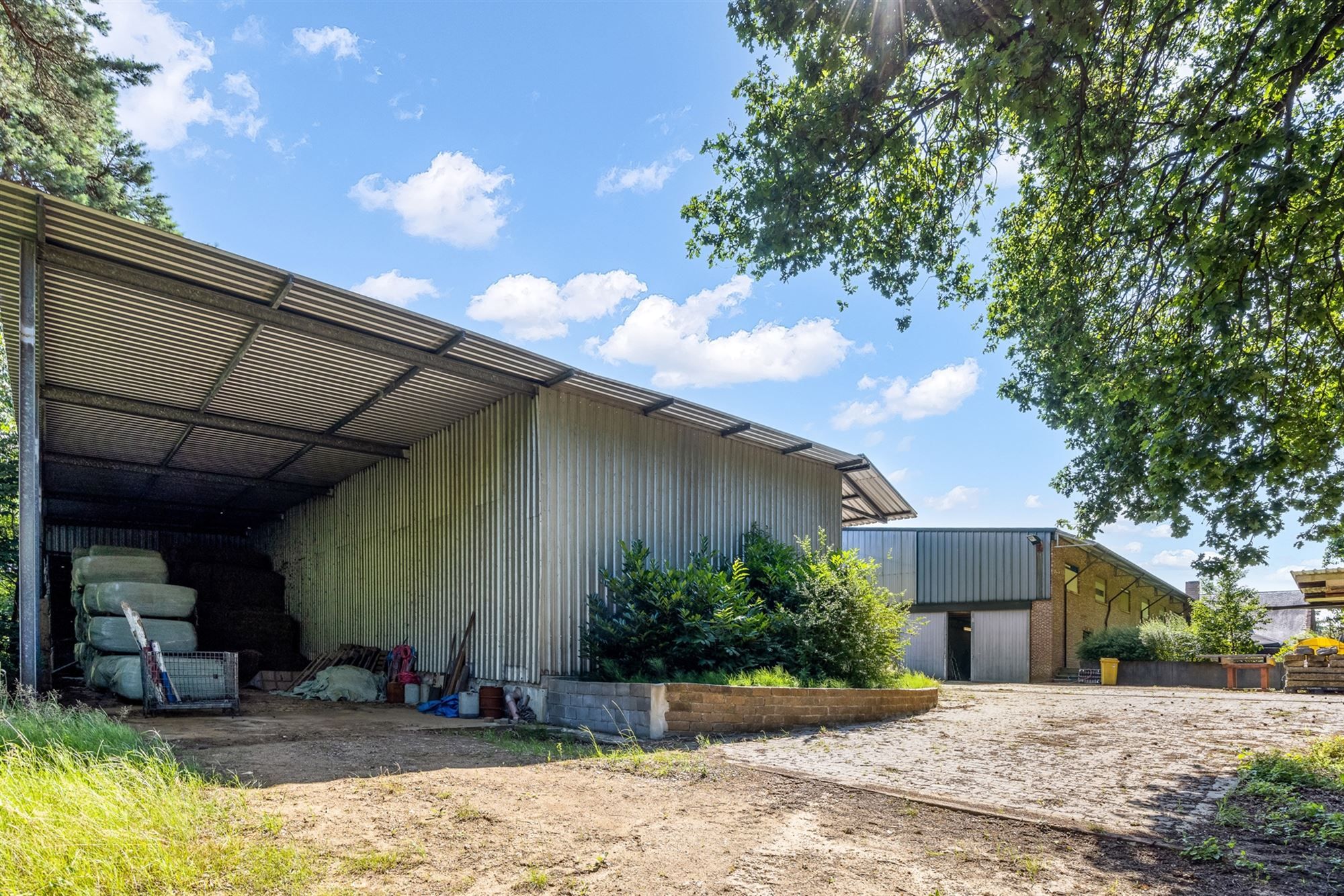 UNIEKE EIGENDOM MET 24 PAARDENSTALLEN EN BINNENPISTE OP CA 10 HECTARE TE PAAL-BERINGEN foto 11