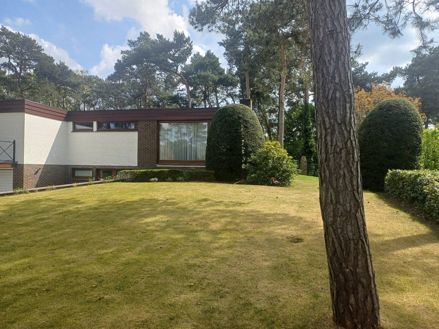 IN OPTIE Instapklare woning op een zeer rustige locatie in het groen met 3 slaapkamers. foto 28