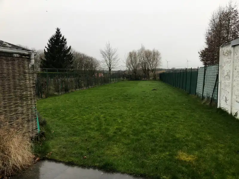 Volledig gerenoveerde woning met 3 slaapkamers en ruime privé-tuin. foto 17