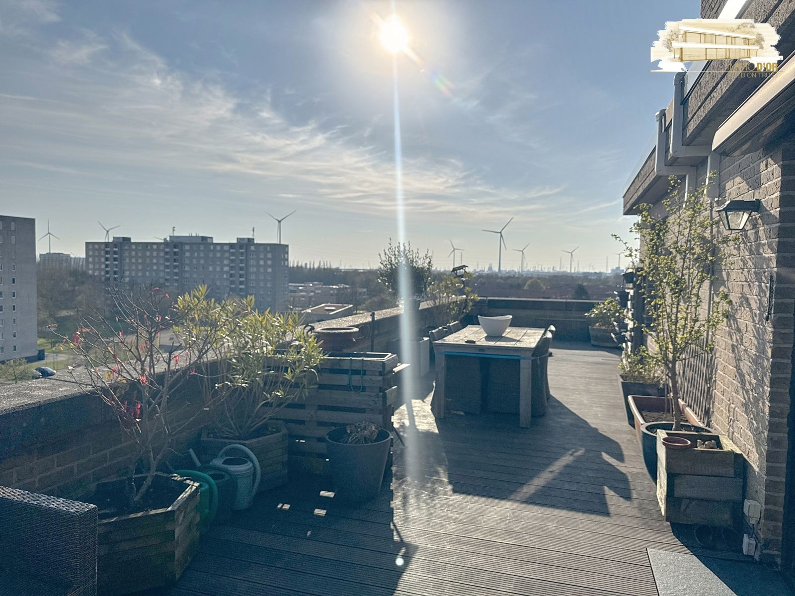 Prachtig dakappartement met een zeer groot Zuid en W-terras  foto {{pictureIndex}}