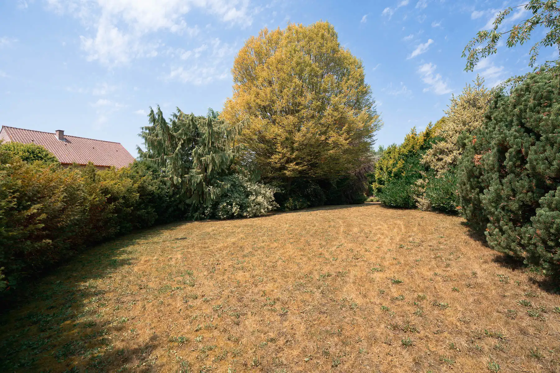 Prachtige renovatiewoning met zeldzame groene ligging foto 34