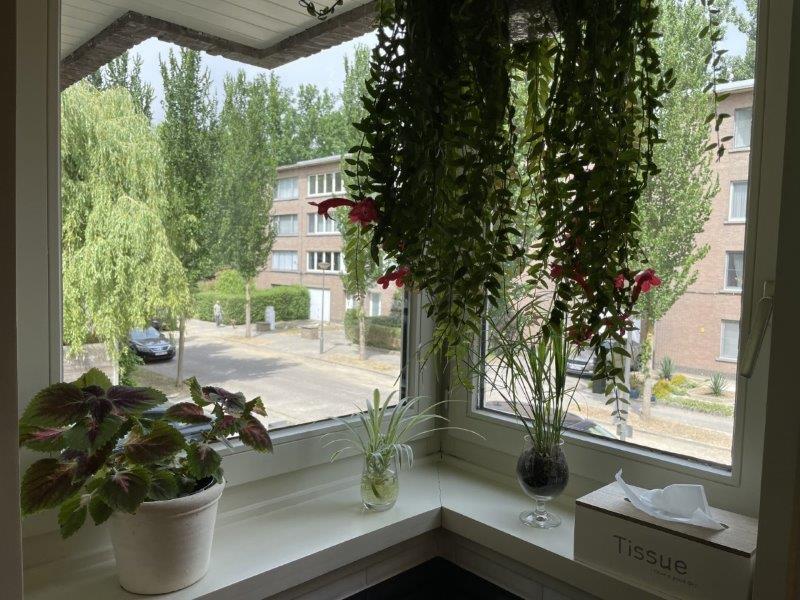 Huis te koop foto 16