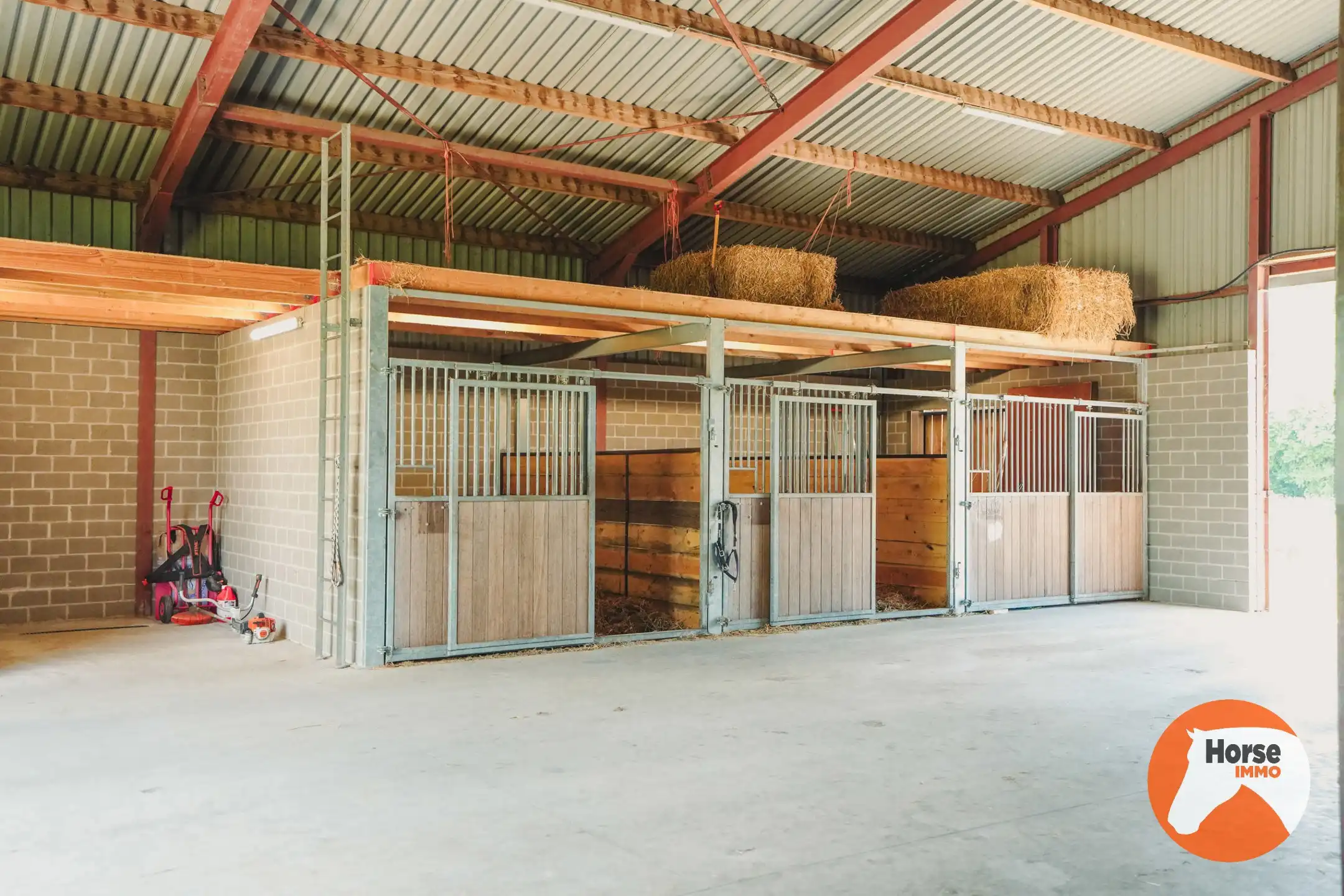 AXEL - Hoeve op een goede locatie met paardenfaciliteiten foto 51