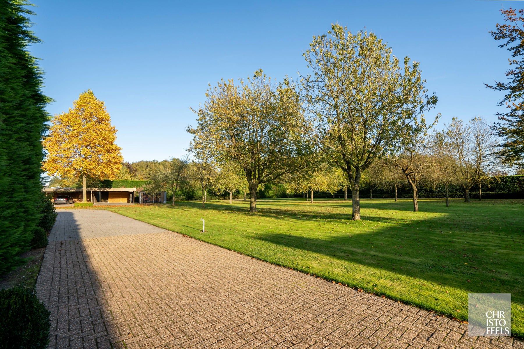 Eigentijdse villa (428m²) met zwembad en 2de woning (187m²) op perceel van 36a43ca.  foto 37