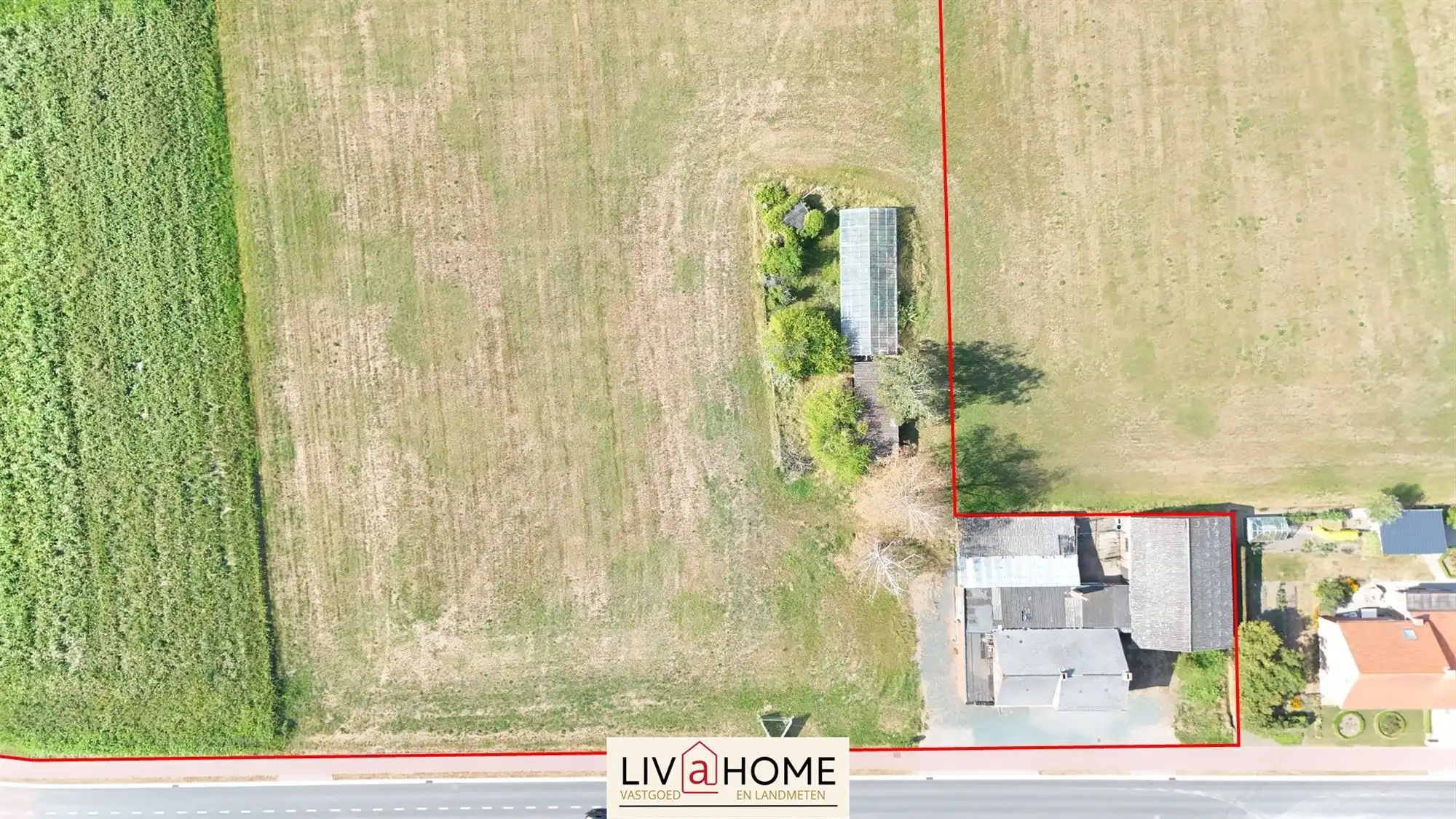 WONING MET 1,53 ha weiland foto 5