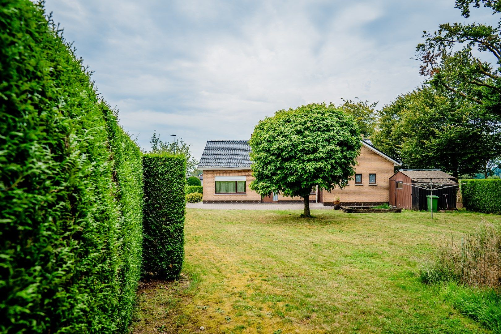 Op te frissen woning op 867 m²  rustig gelegen in Ertvelde foto 2