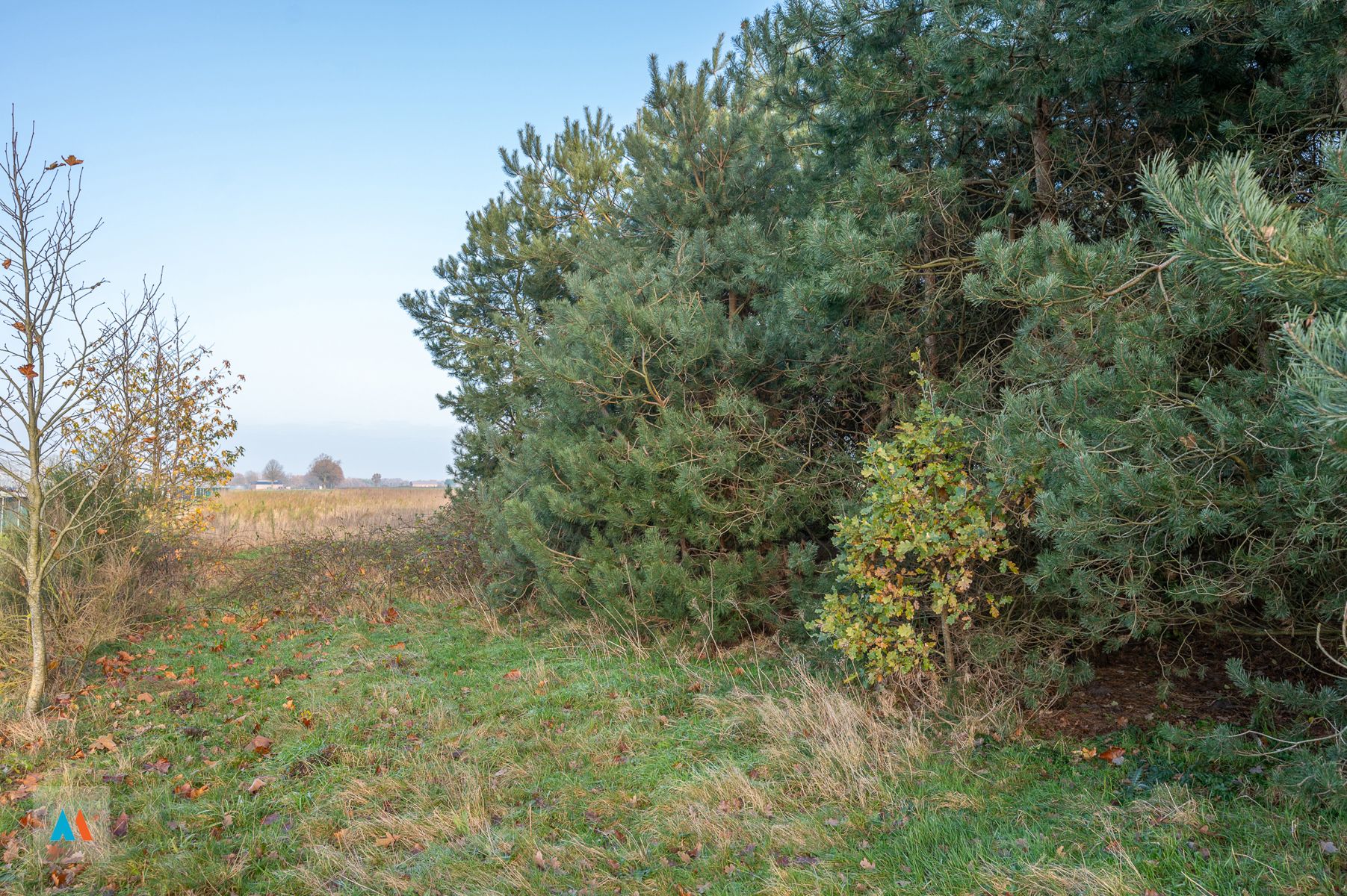 Gemengd perceel Landbouw- en bosgrond foto 3