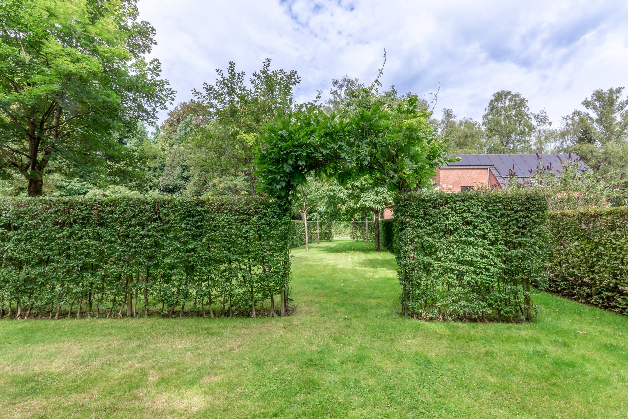 Prachtig perceel van 3348m2 met magnifieke tuin. foto 40