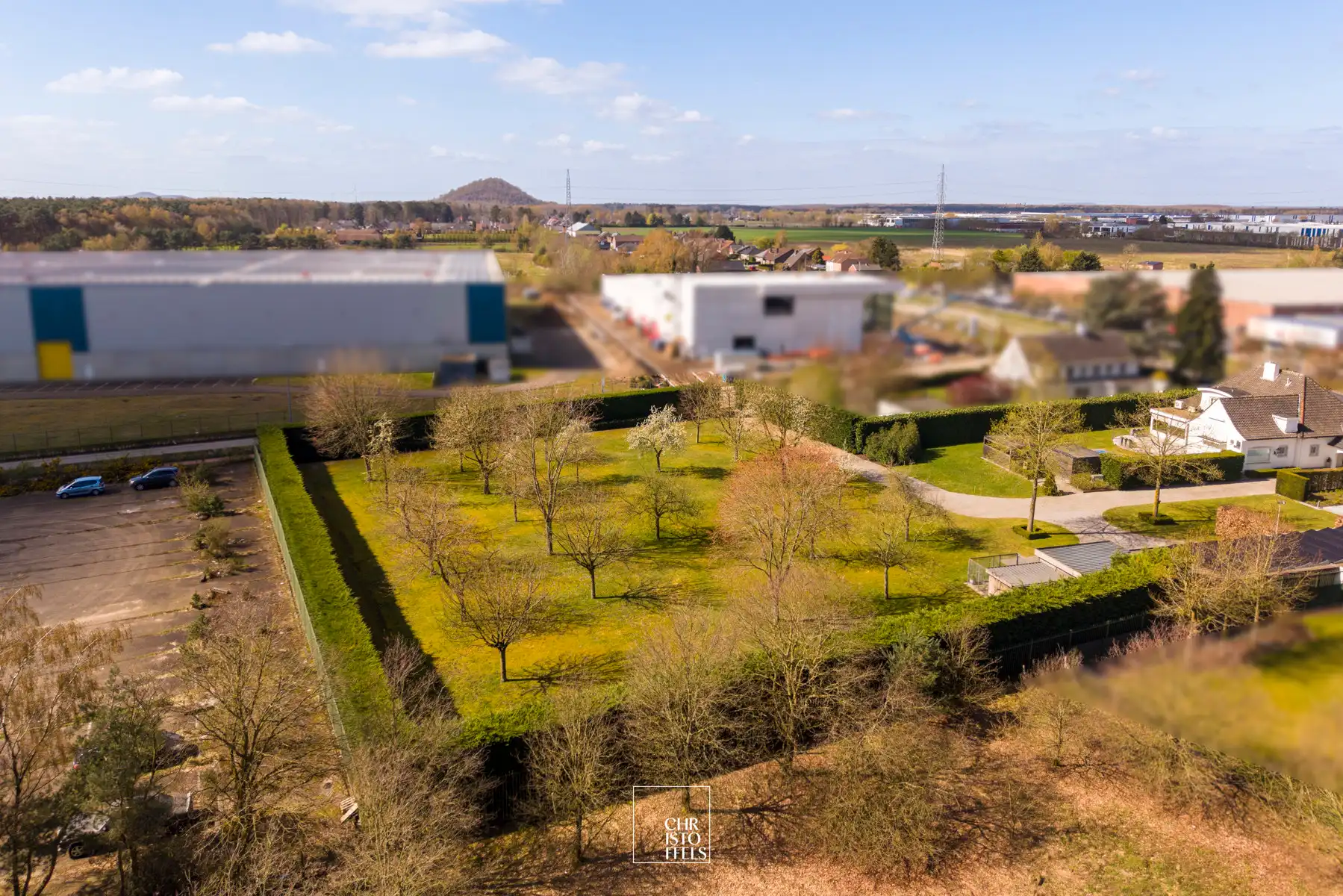 Strategisch gelegen industriegrond van 41a53ca met optie bosgrond (67a)!  foto 5