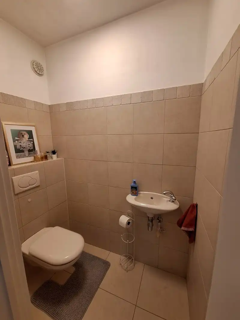 Penthouse aan de Beringse stadsrand foto 22