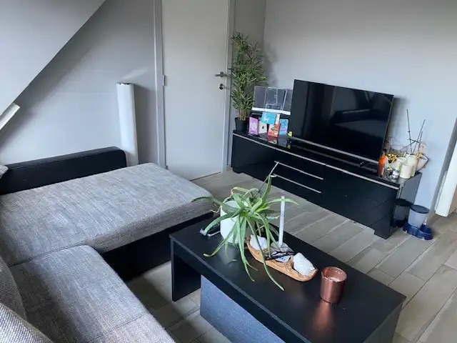 Instapklaar éénslaapkamerappartement in moderne residentie. foto 4