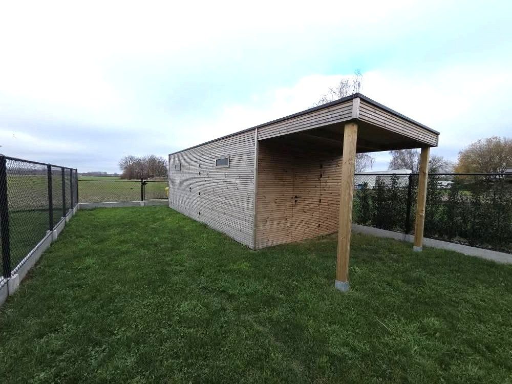 What a feeling (Irene Cara)... foto 20