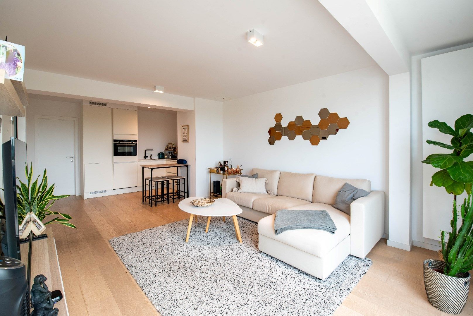 Modern penthouse op het Antwerpse Zuid foto 6