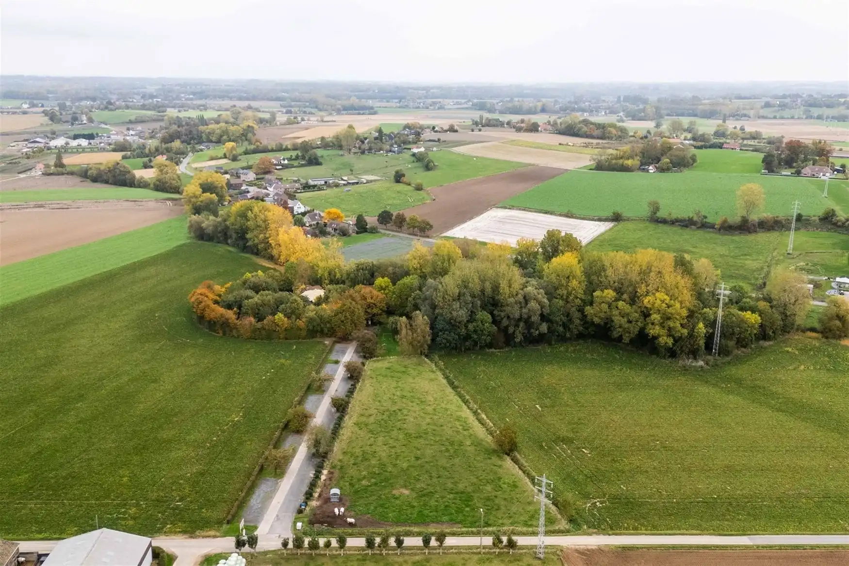 Uniek eigendom te koop: de Zwadderkotmolen. foto 5