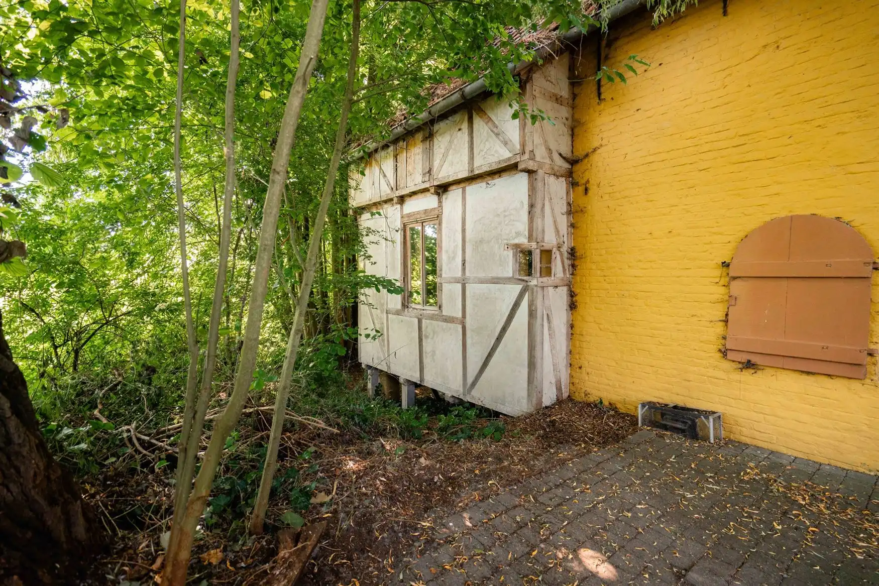 Uniek eigendom te koop: de Zwadderkotmolen. foto 5