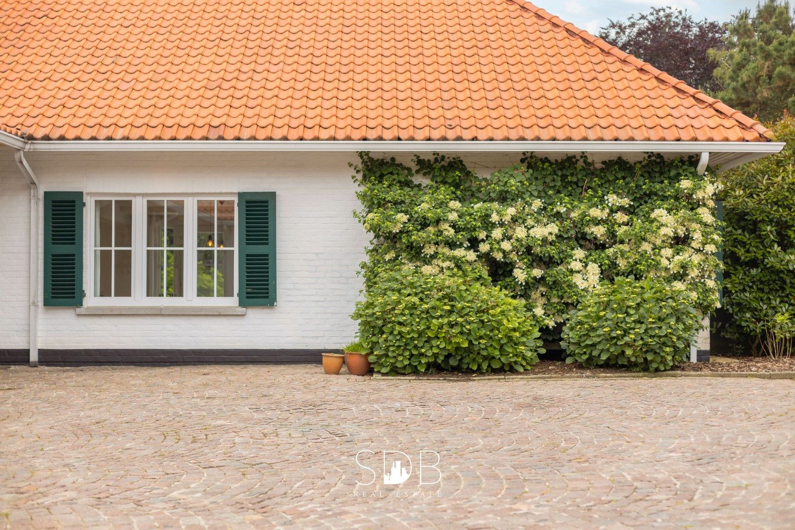 Prachtige villa met zwembad, paardenstallen, paddock en grasland op 1,3HA foto 8