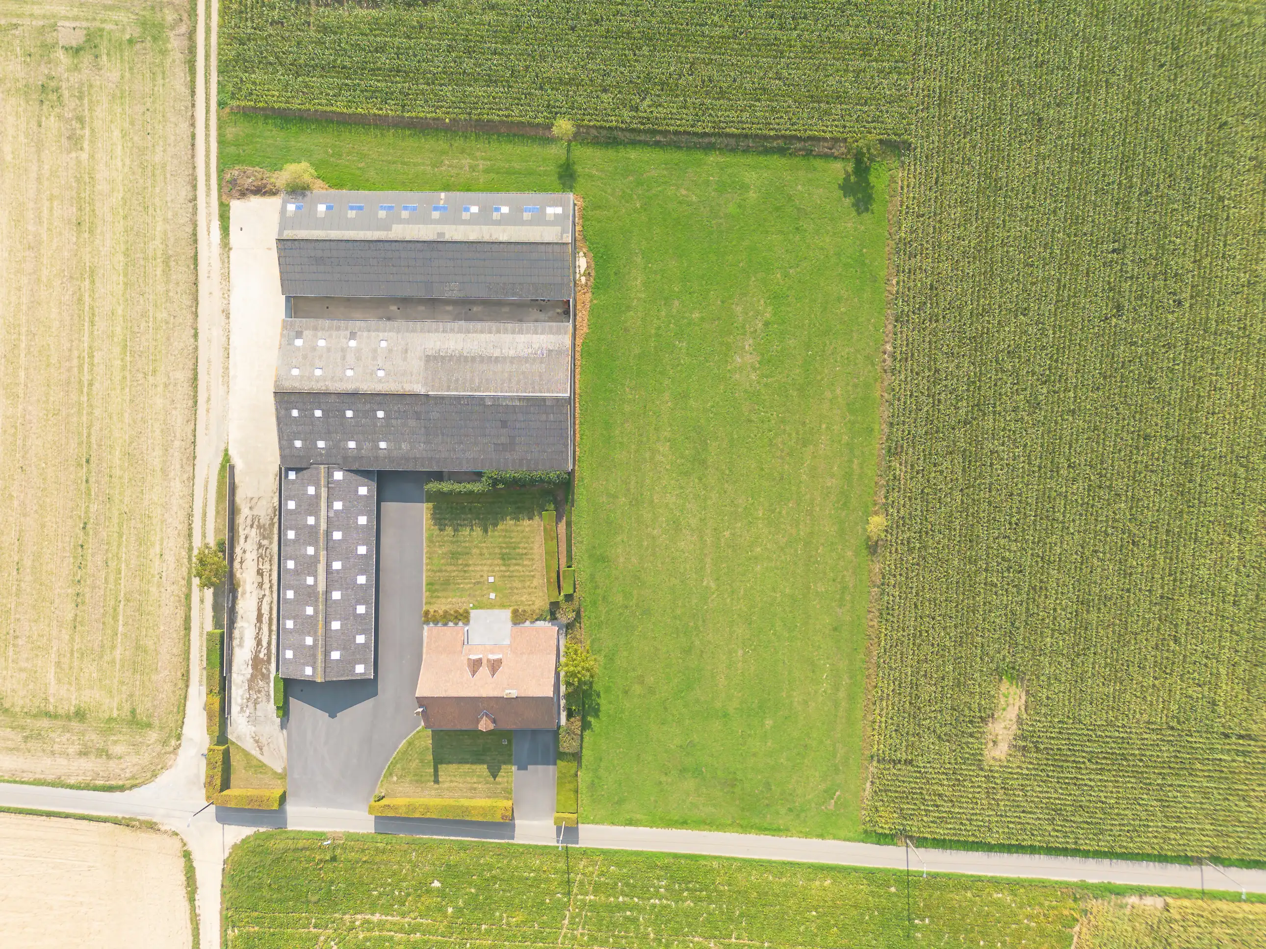 Tijdloze landbouwwoning met drie loodsen foto 25