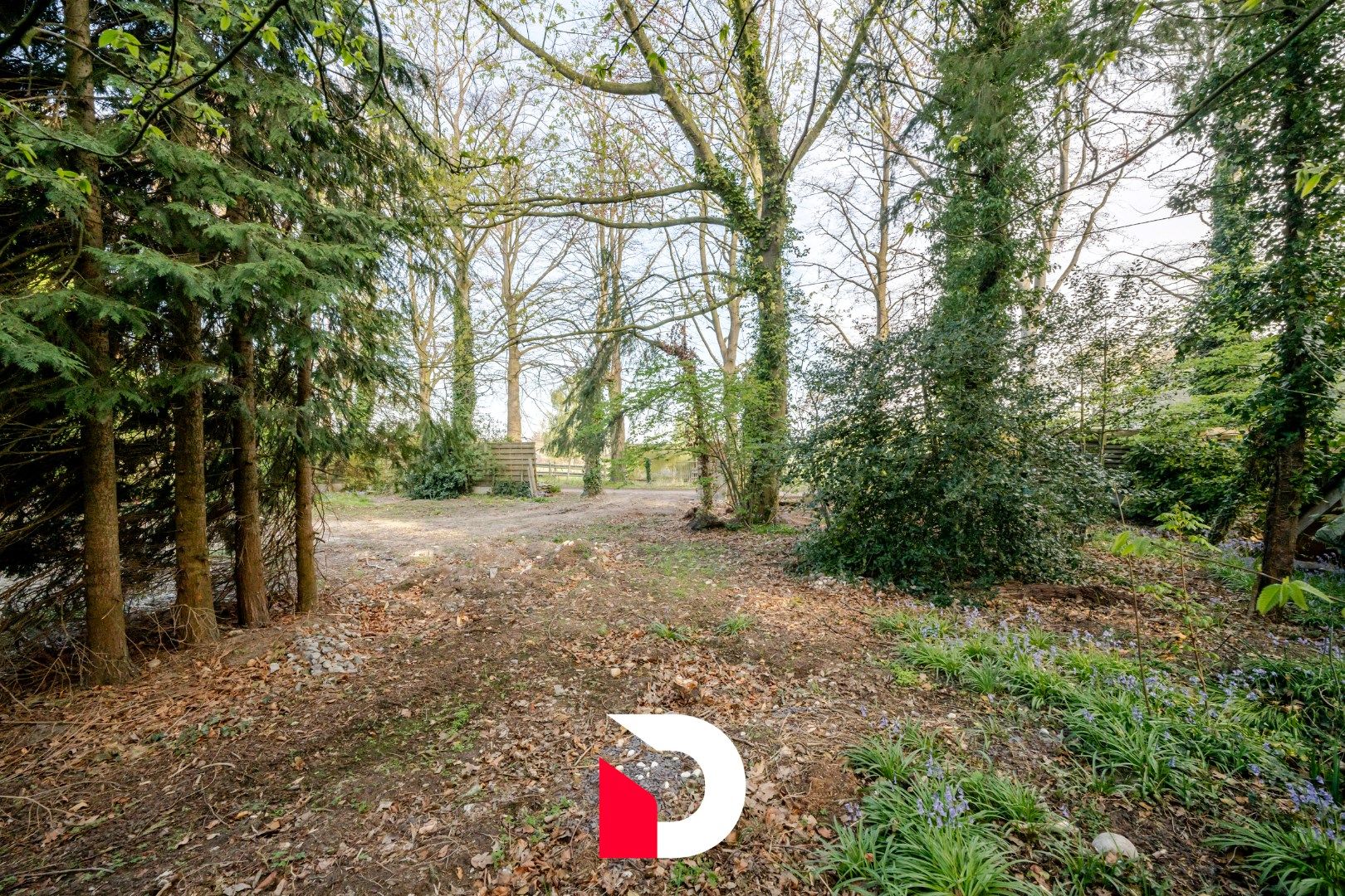 Uniek perceel van 6.448 m² met te renoveren woonst aan Merkenveld bos te Zedelgem  foto 12