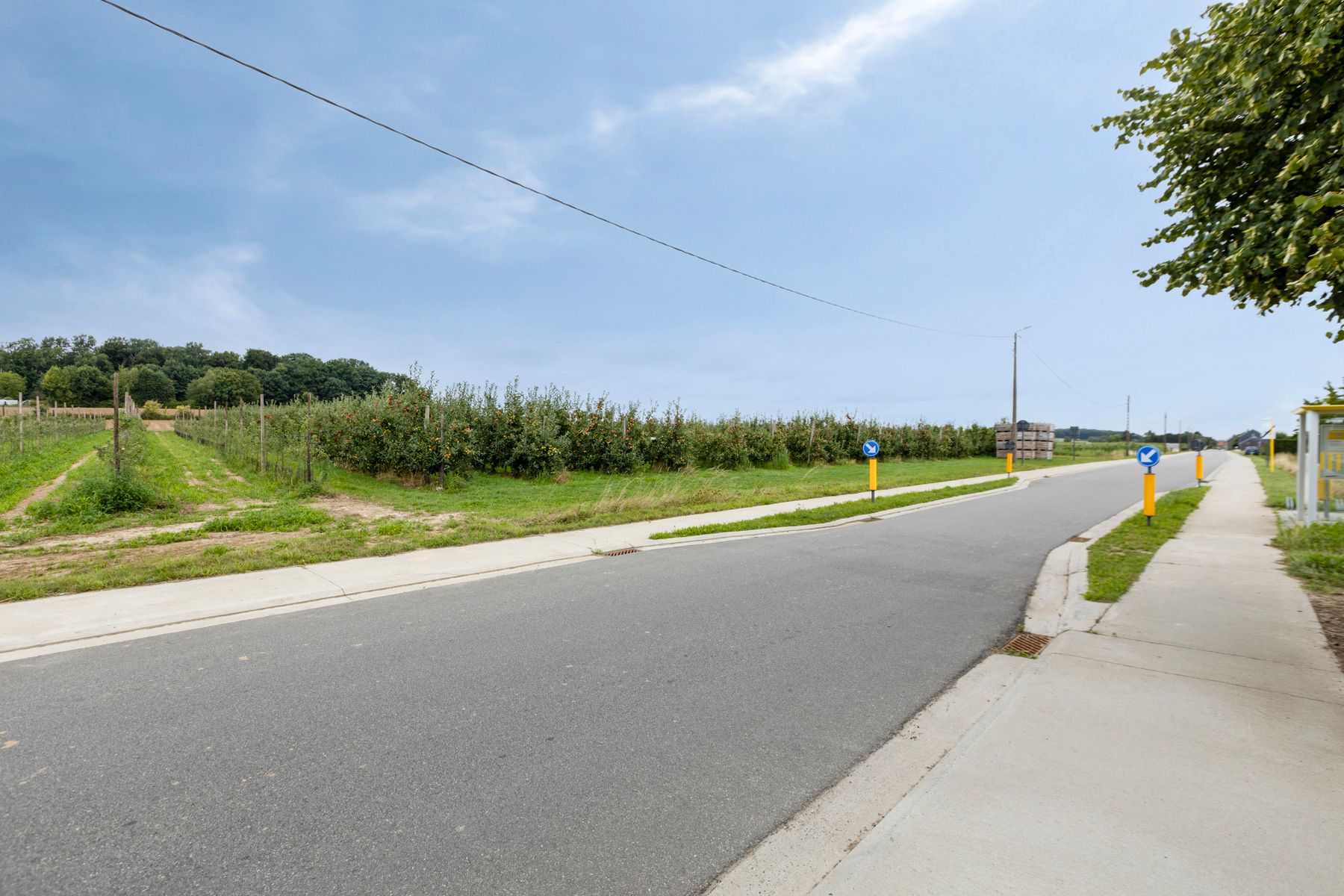 OPENDEURDAG 15/11 van 10 tot 12 UUR foto 36