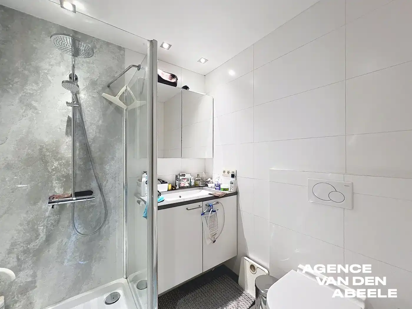 Prachtig gelegen appartement met 2 slaapkamers en zicht op de Damse Vaart  foto 4
