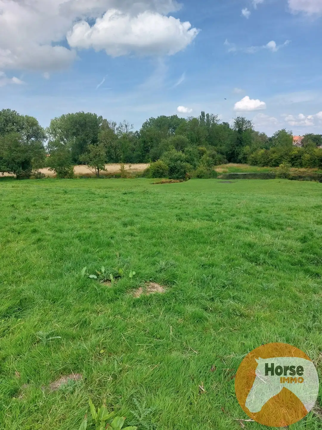 TONGEREN - Weide op +/- 1,5 ha foto 4