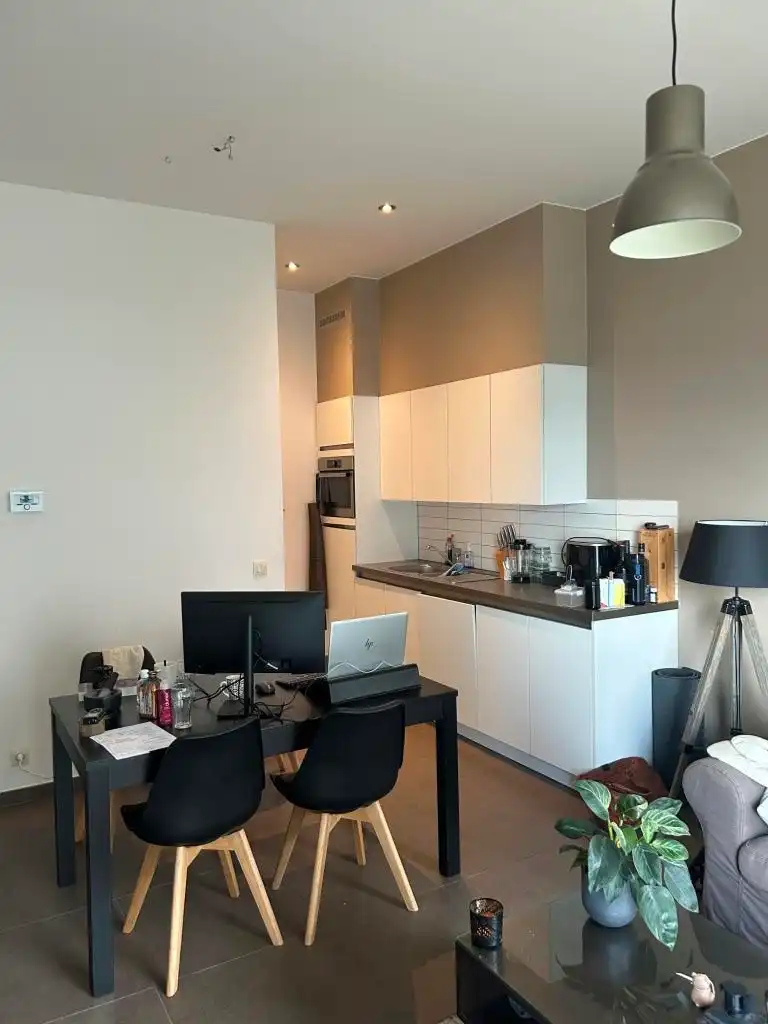 Mooi gelijkvloers appartement vlakbij Scheldekaaien  foto {{pictureIndex}}