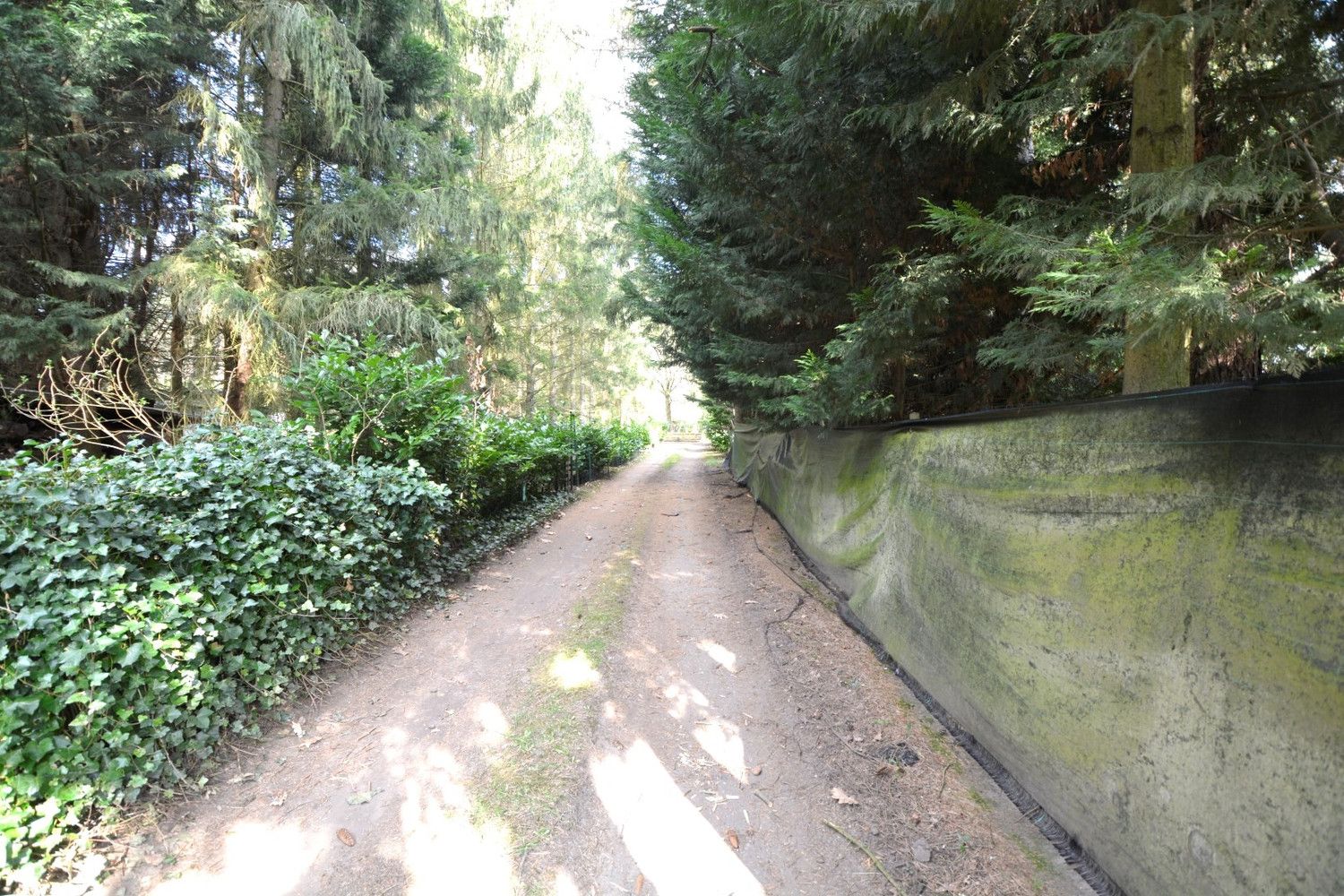 PERCEEL RECREATIEGROND VAN 1.118 m² foto 4