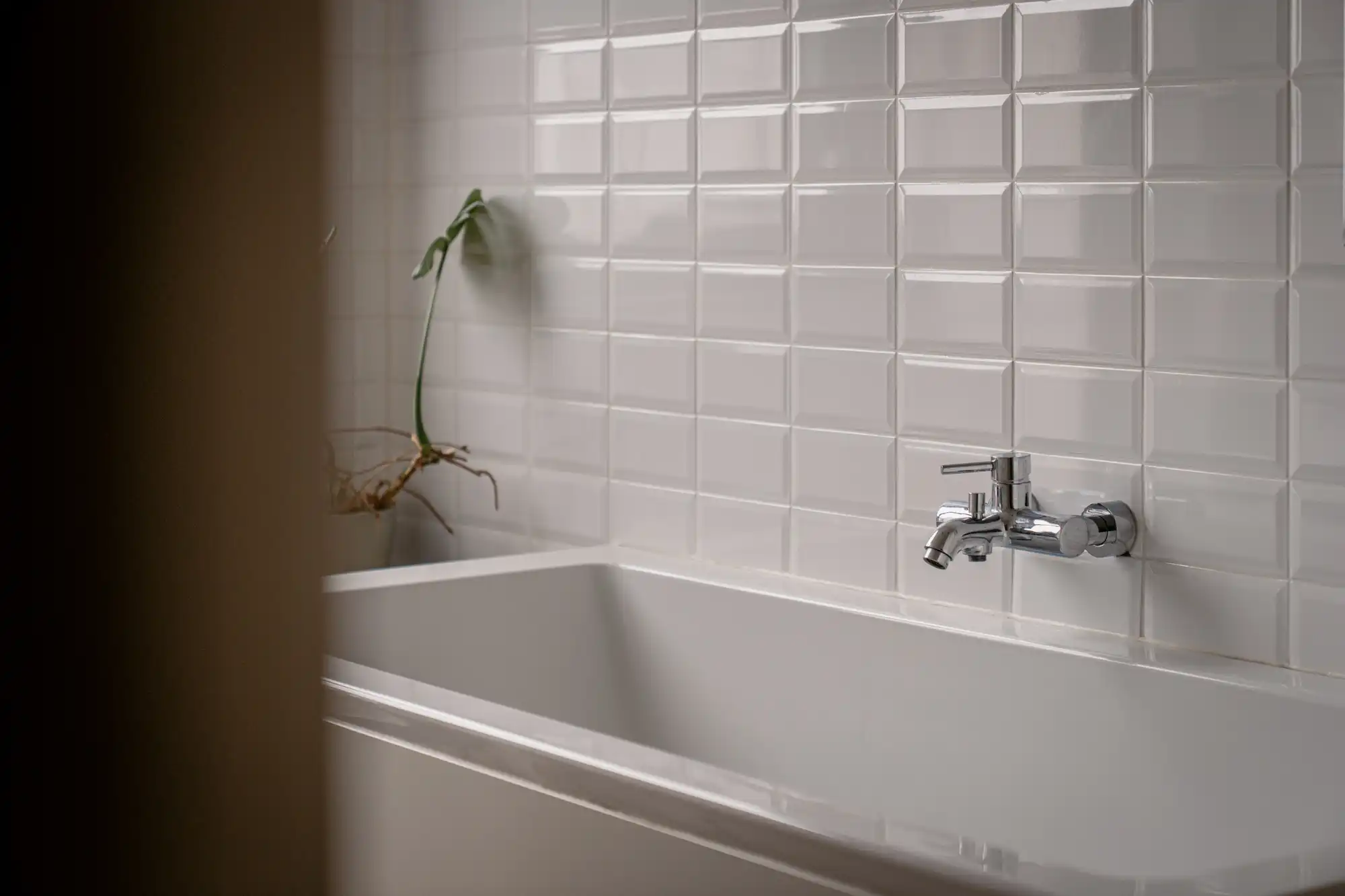 De Kers op de Taart: licht en rust op de hoek van ’t Zuid en Sint-Andries foto 14