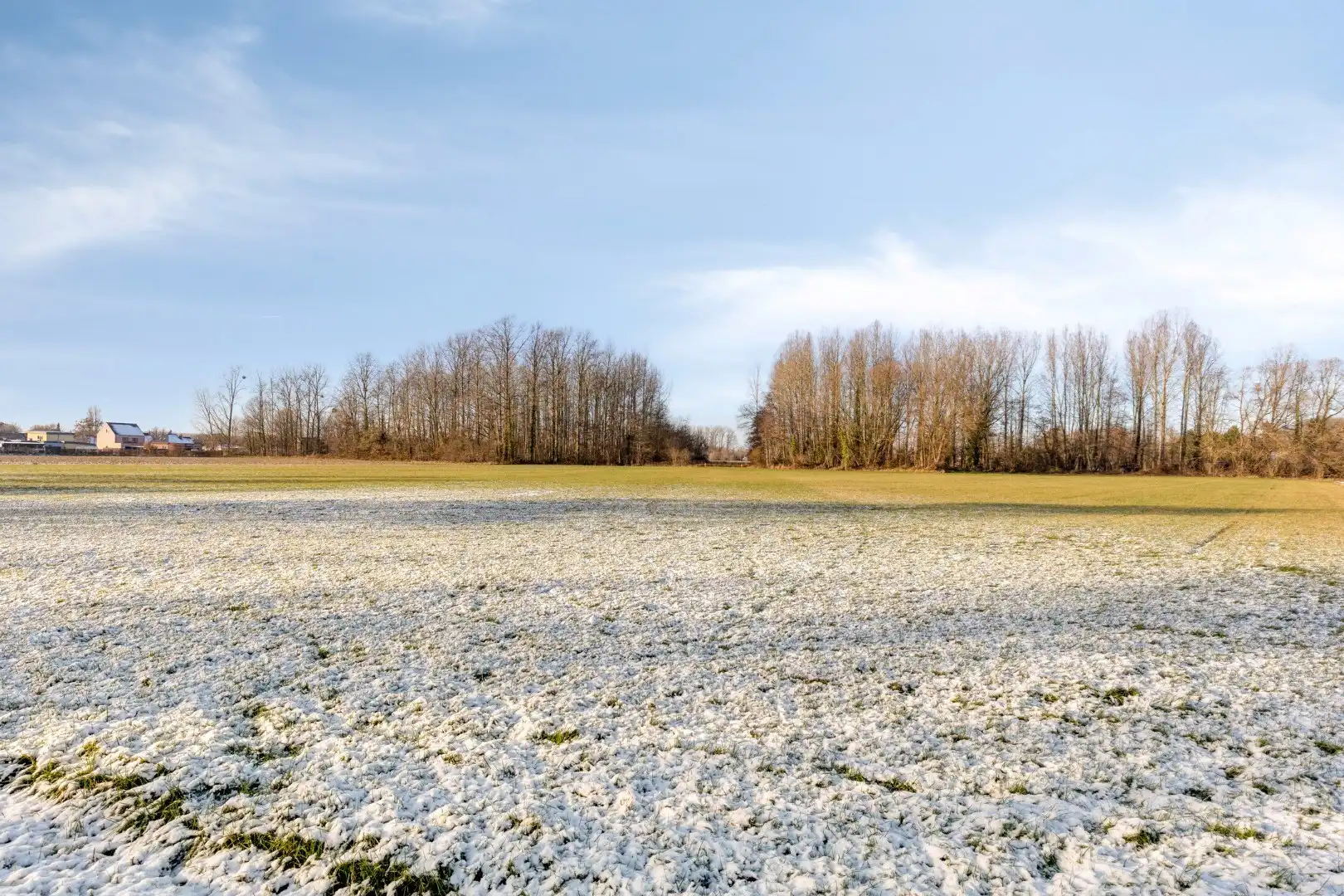 Landbouwgrond vrij van pacht in Wilsele op een perceel van 2ha 03a 20ca foto 3