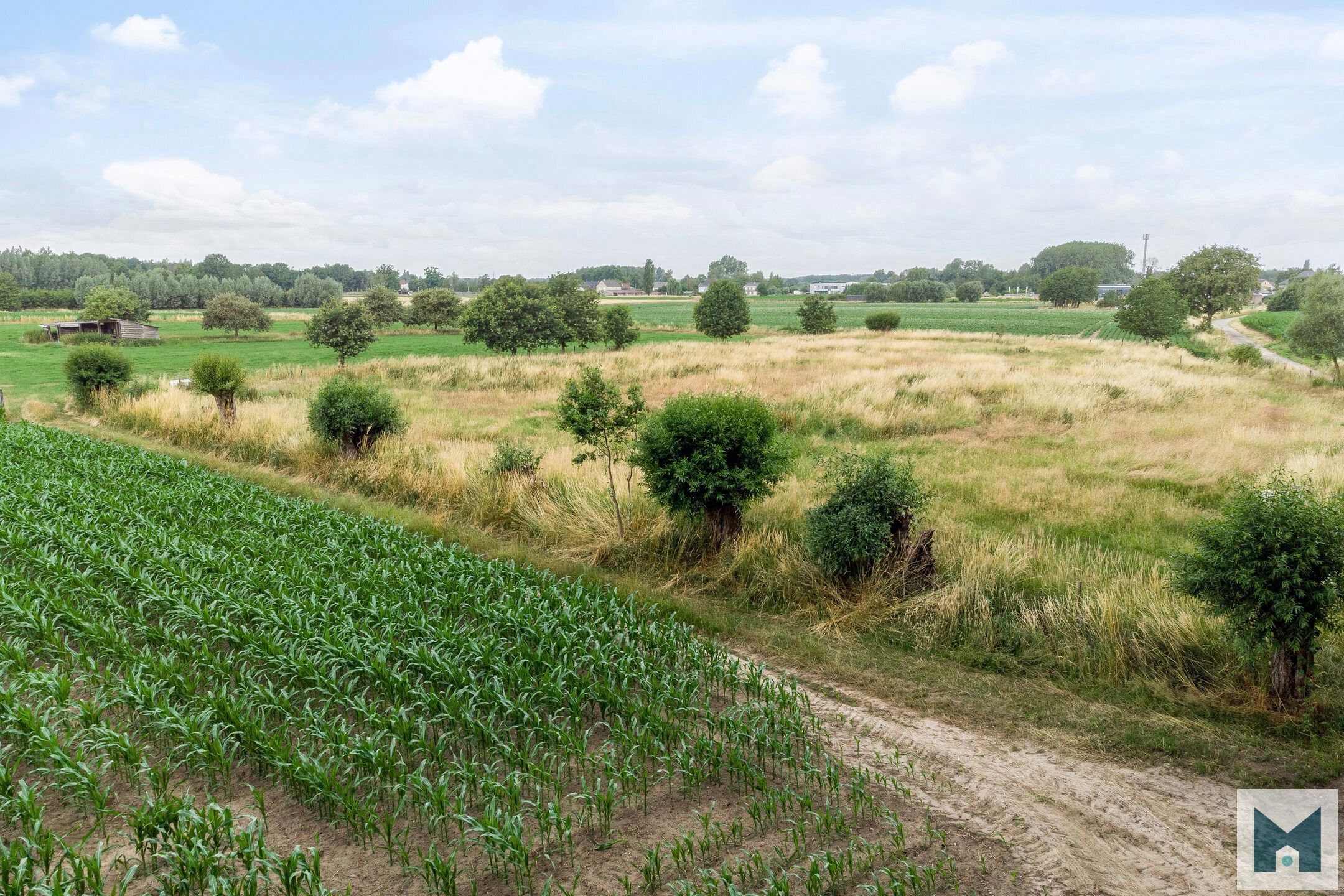 Prachtig weiland van maar liefst 1,864 hectare!  foto 11