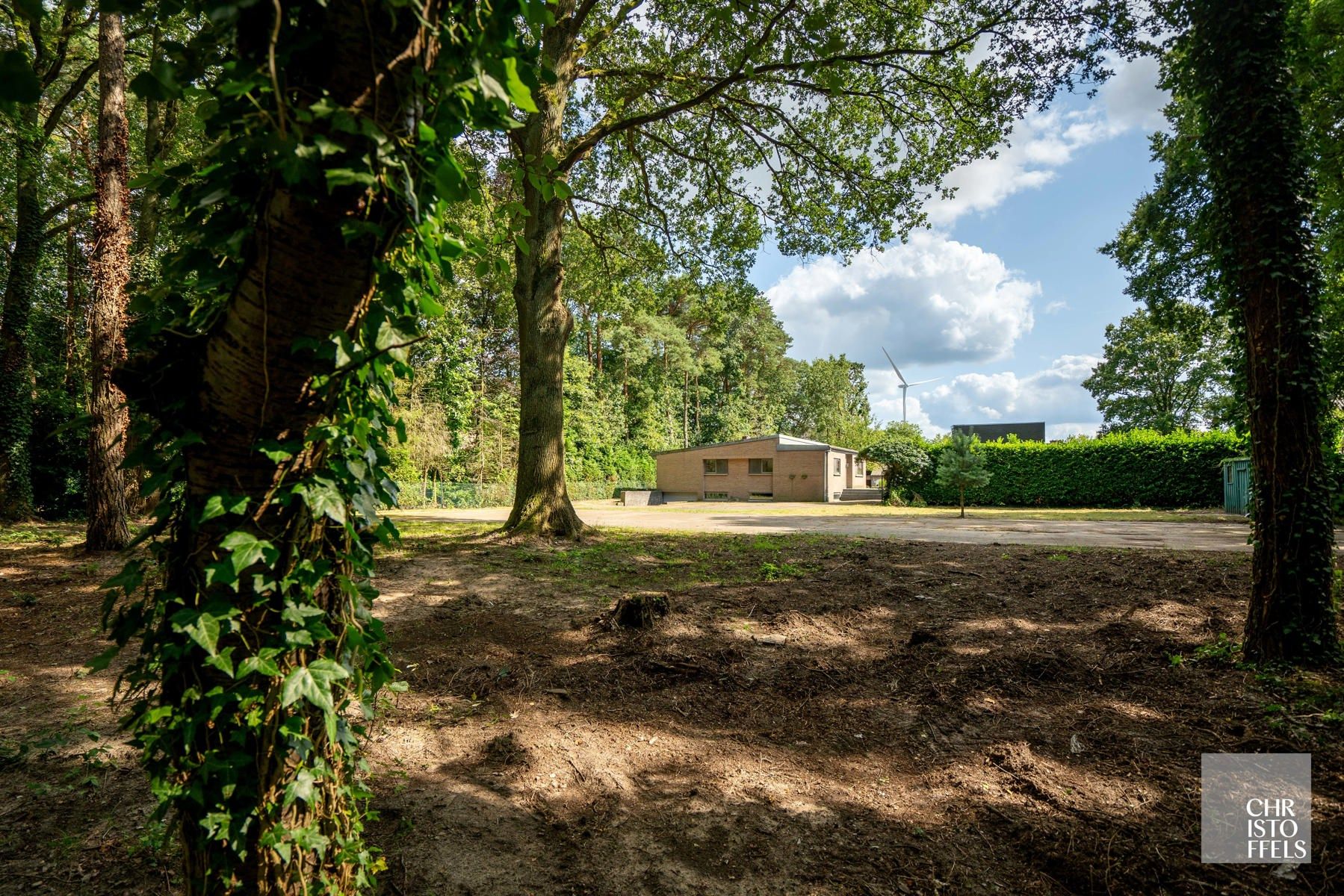 Deels gerenoveerde laagbouwvilla, residentieel gelegen in de bossen op een uitgestrekt perceel van 3.981m² foto 26