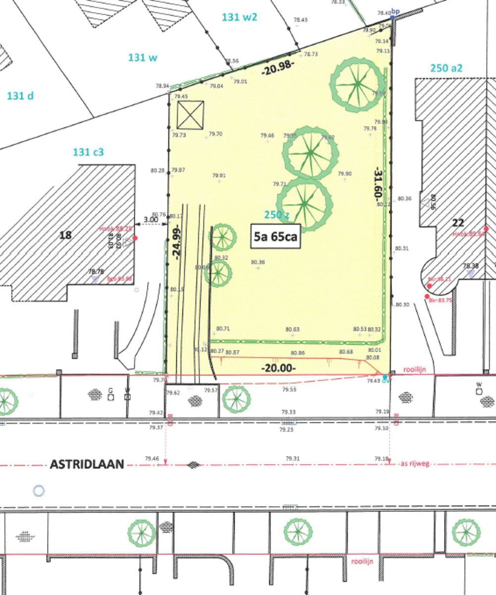 Centrum Dilbeek: rustig gelegen perceel voor open bebouwing foto 5