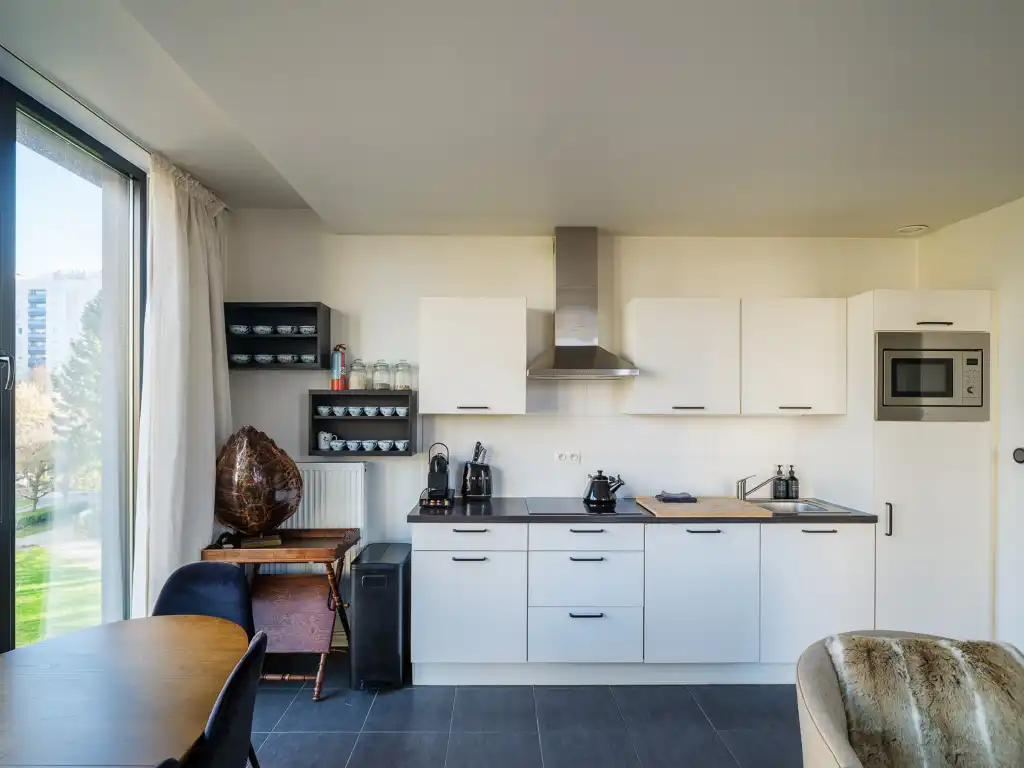 Lichtrijk 1-slaapkamerappartement met zuidgericht terras (14 m²) foto 5