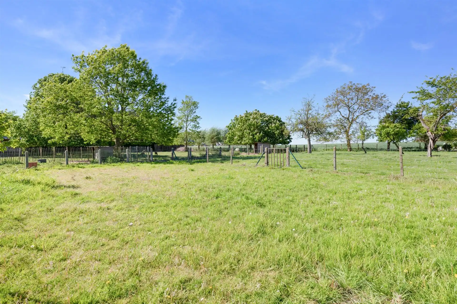 Te renoveren boerderij op ruim perceel in Kluisbergen foto 6
