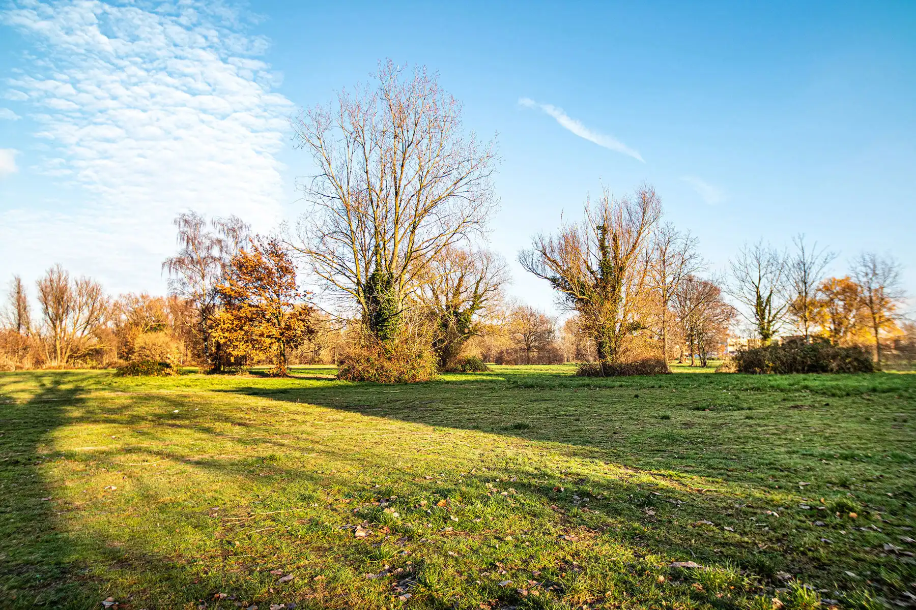 Lichtrijke penthouse met uitzonderlijk uitzicht en 2 garages foto 2